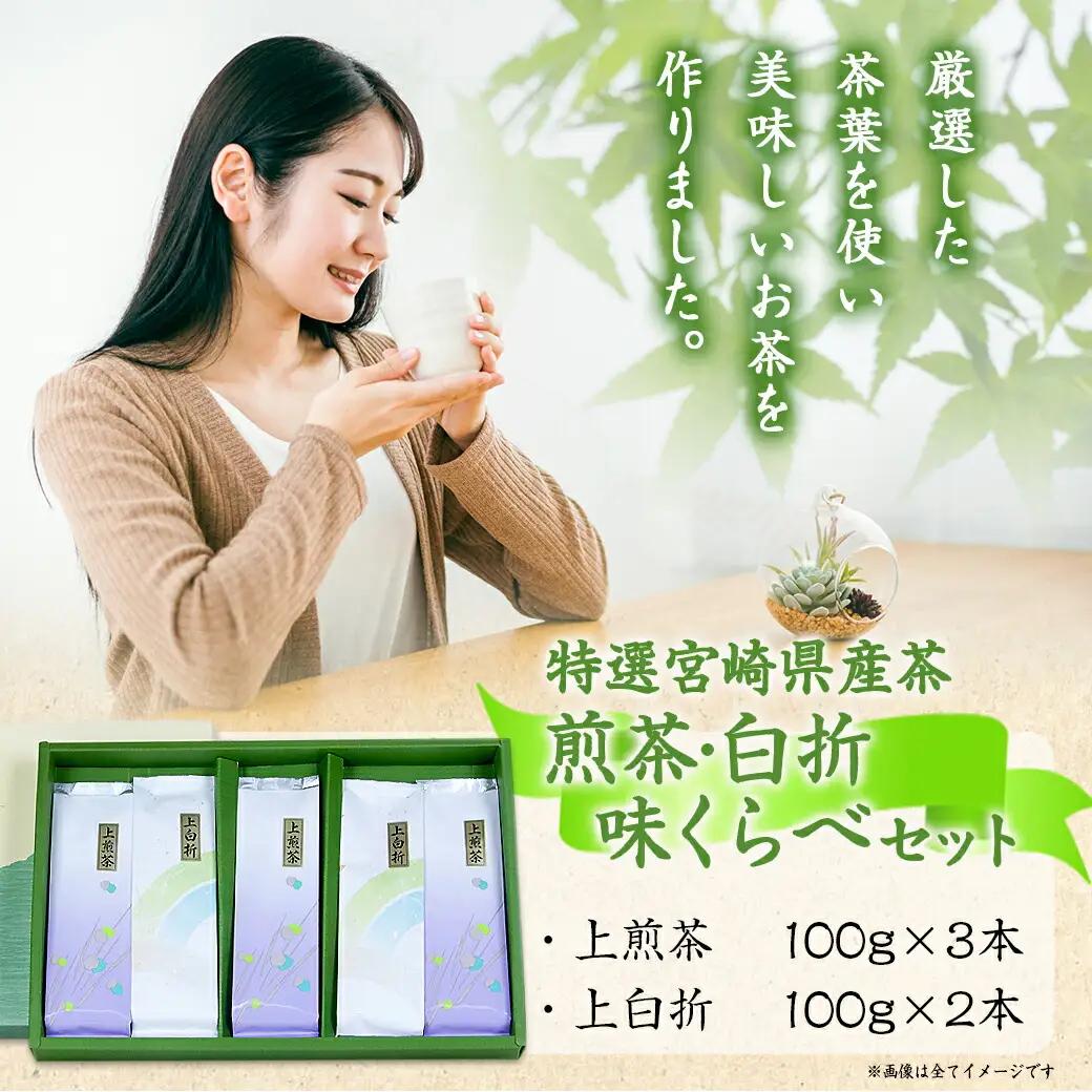 ≪特選茶≫煎茶・白折味くらべセット_MJ-4804_(都城市) 茶葉 上煎茶 100g×3本 上白折 100g×2本 お茶の産地 都城盆地 最高級品 ホット 冷茶 日本茶 せんちゃ しらおれ
