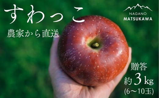 KR04-25A りんご すわっこ 贈答 約3kg（6～10玉） / 9月上旬頃～配送予定 // 長野県 南信州 松川町産 リンゴ 林檎 すわっこ 希少品種 ギフト 早生りんご 農家直送 農家支援 産地直送