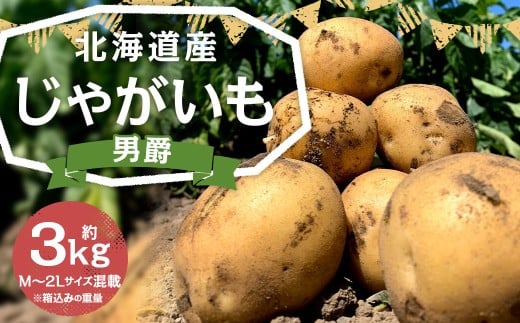 北海道産 じゃがいも （男爵） 約3kg 【2026年9月下旬-2027年1月上旬迄発送予定】