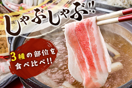宮崎県産 豚しゃぶしゃぶ三種盛り食べ比べセット 合計2.2kg ※ご入金月の翌月中に出荷【B584】
