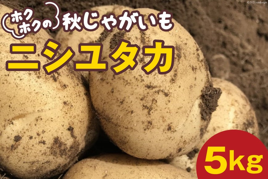 
ホクホクの 秋じゃがいも 「 ニシユタカ 」5kg [Taji Farming 長崎県 雲仙市 item1235] 野菜 ジャガイモ 秋じゃが 5キロ 期間限定
