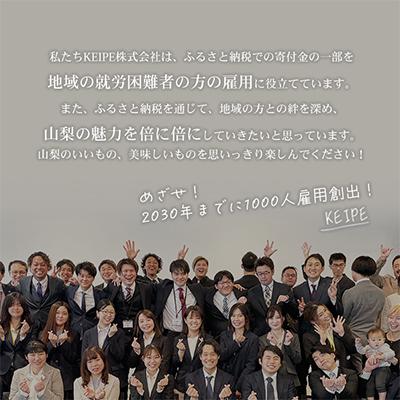 ふるさと納税 笛吹市 【発送月固定定期便】フルーツ定期便　シャインマスカット500g(1房)・桃1kg　山梨 笛吹 全2回 |  | 02