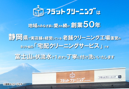 フラットクリーニング　15点スピードパック利用券