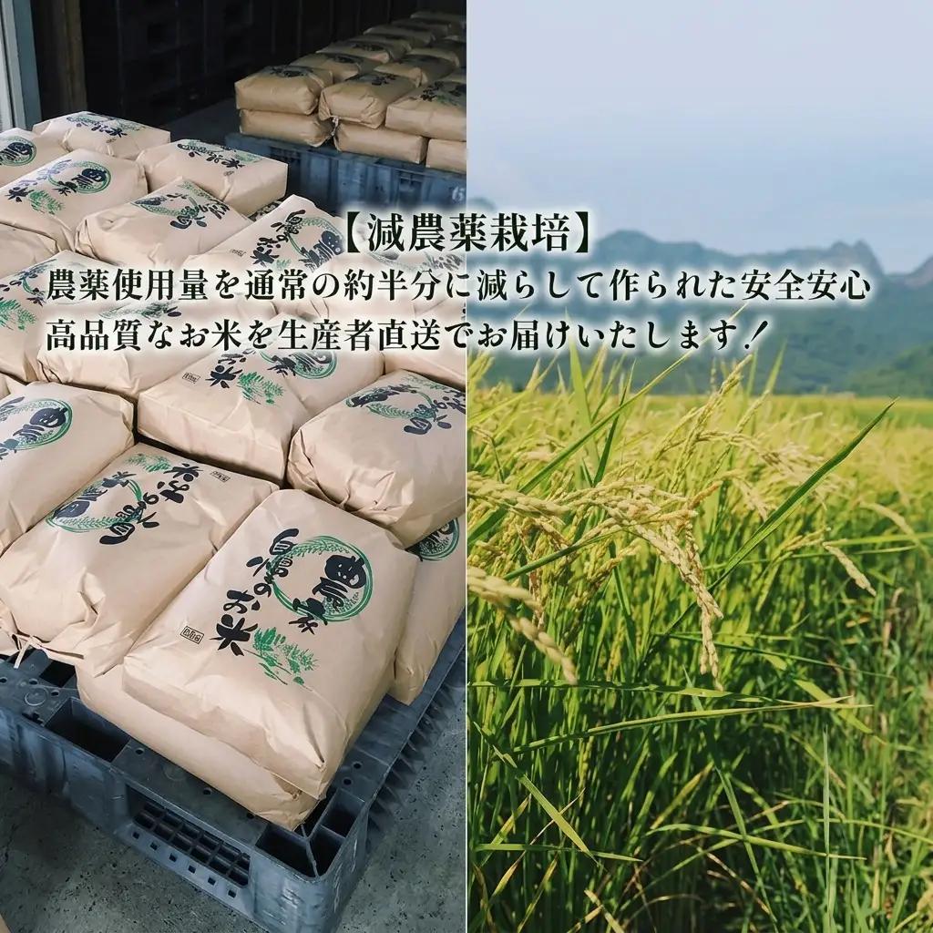 ななつぼし 白米 富良野産 減農薬 山本農園 ななつぼし【10kg】令和7年産