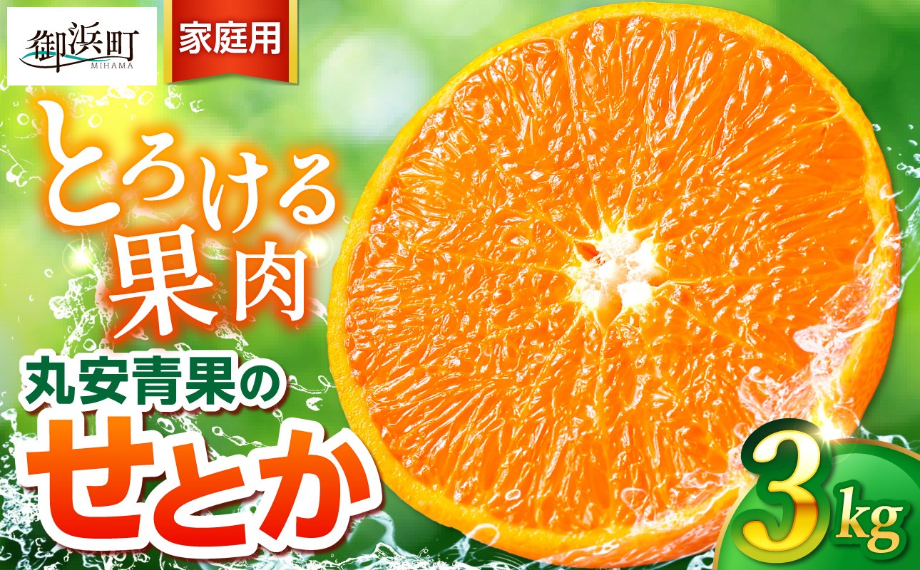 
                  【2027年発送先行予約品】丸安青果のせとか3キロ（家庭用) 【果物 フルーツ  訳あり 家庭用 蜜柑 みかん せとか 3kg 三重県 御浜町】
                