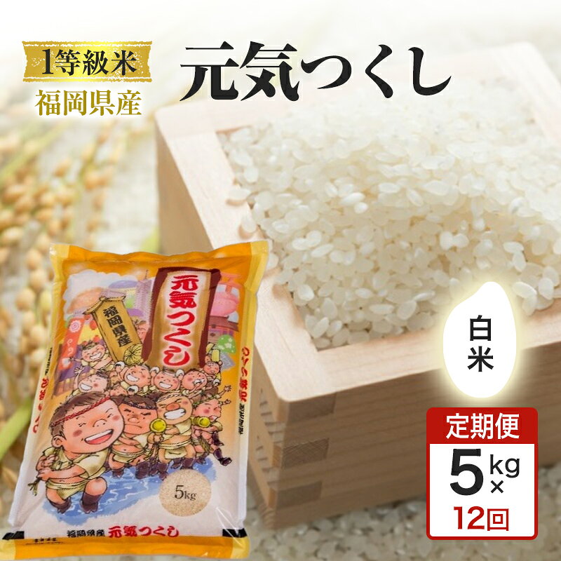 【ふるさと納税】米 定期便 令和7年度 12回 1等級米 1粒からこだわる 5kg 12ヶ月 白米合計60kg 福岡県産米 元気つくし 白米 お米 コメ お楽しみ 令和7年度産 ちょっと贅沢 福岡県小郡市