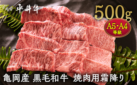 平井牛 焼肉用霜降り500g 焼肉 和牛焼肉 牛肉焼肉 焼肉 国産焼肉 焼肉