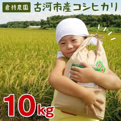 ふるさと納税 古河市 【令和7年産】古河市産 コシヒカリ10kg【倉持農園】 | 米 ※2025年11月〜発送 _AN01