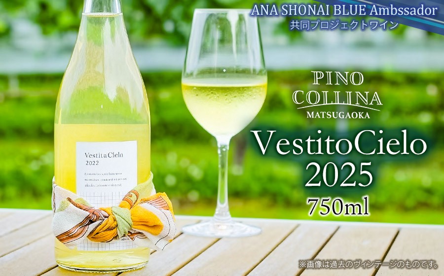 
                  白ワイン　Vestito Cielo 2025　750ml×1本　株式会社エルサン ヴェスティート・シエロ 国産 日本ワイン
                