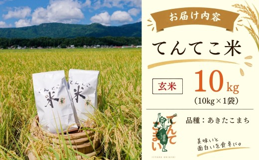 【新米】てんてこ米 あきたこまち 玄米 10kg（10kg×1袋）今清水農園 ｜てんてこまい 長野県 飯山市 信州 アキタコマチ 常盤 コメ ごはん おいしい オススメ 令和8年（Cy-002）