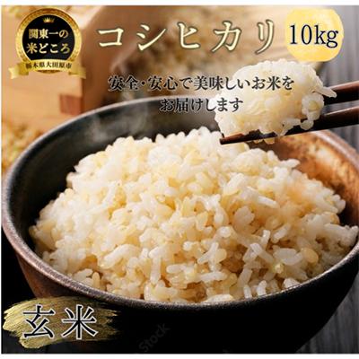 ふるさと納税 大田原市 【令和7年産新米 数量限定】古谷農産 栽培期間中農薬・化学肥料不使用 コシヒカリ 玄米 10kg