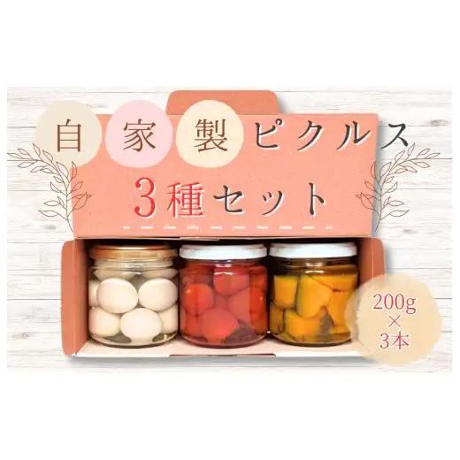 メルカドレグメス　ピクルス　3種セット ／ ピクルス ミニトマト うずらの卵 旬の野菜 自家製 セット 詰め合わせ