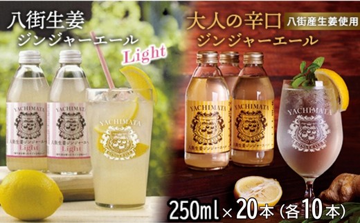 八街生姜ジンジャーエールLIGHT ＋八街生姜ジンジャーエール　計20本セット ジンジャーエール 生姜 八街 ジュース ジンジャー 瓶 ビン セット 辛口 定期便 ギフト 辛口 濃厚 飲料 炭酸 炭酸飲料 生姜 国産 贈答用 千葉