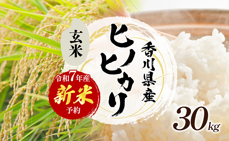 令和7年産　新米「ヒノヒカリ」30kg（玄米） お米 30kg 