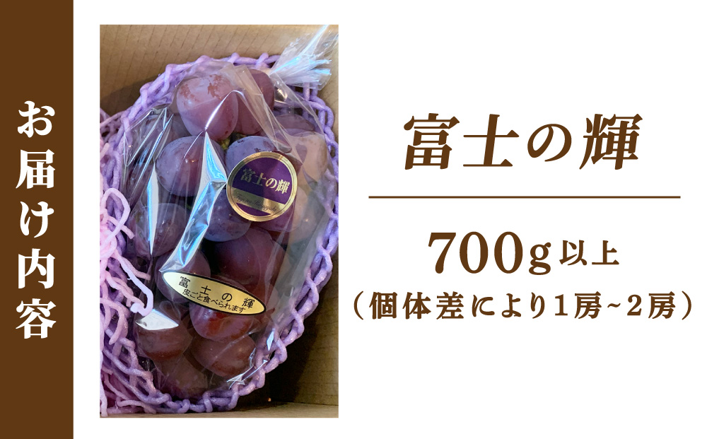 富士の輝（ぶどう） 大木町 フルーツ 果物 宝果FARM DC002