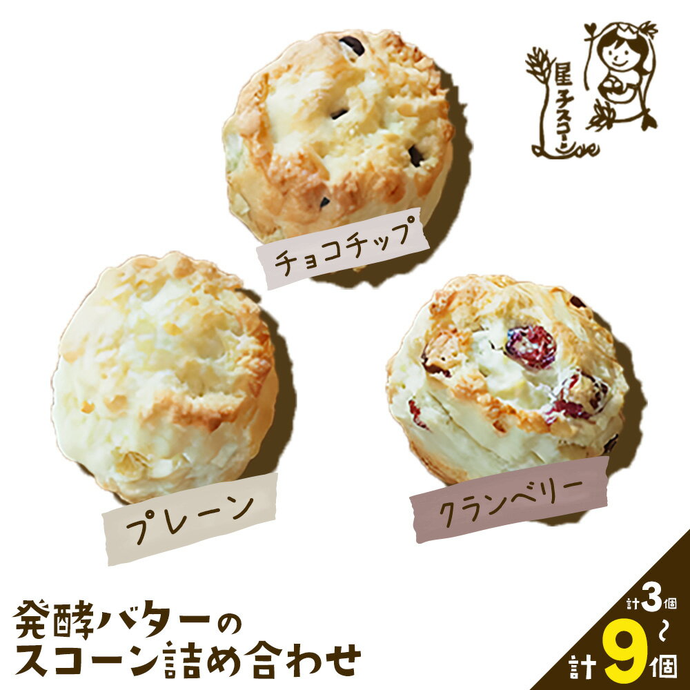 【ふるさと納税】星子スコーン 行列ができる スコーン 詰め合わせ 3種 選べる内容量 3個 6個 9個 プレーン チョコチップ クランベリー 《30日以内に出荷予定(土日祝除く)》 星子スコーン 千葉県 流山市 おやつ お中元 お菓子