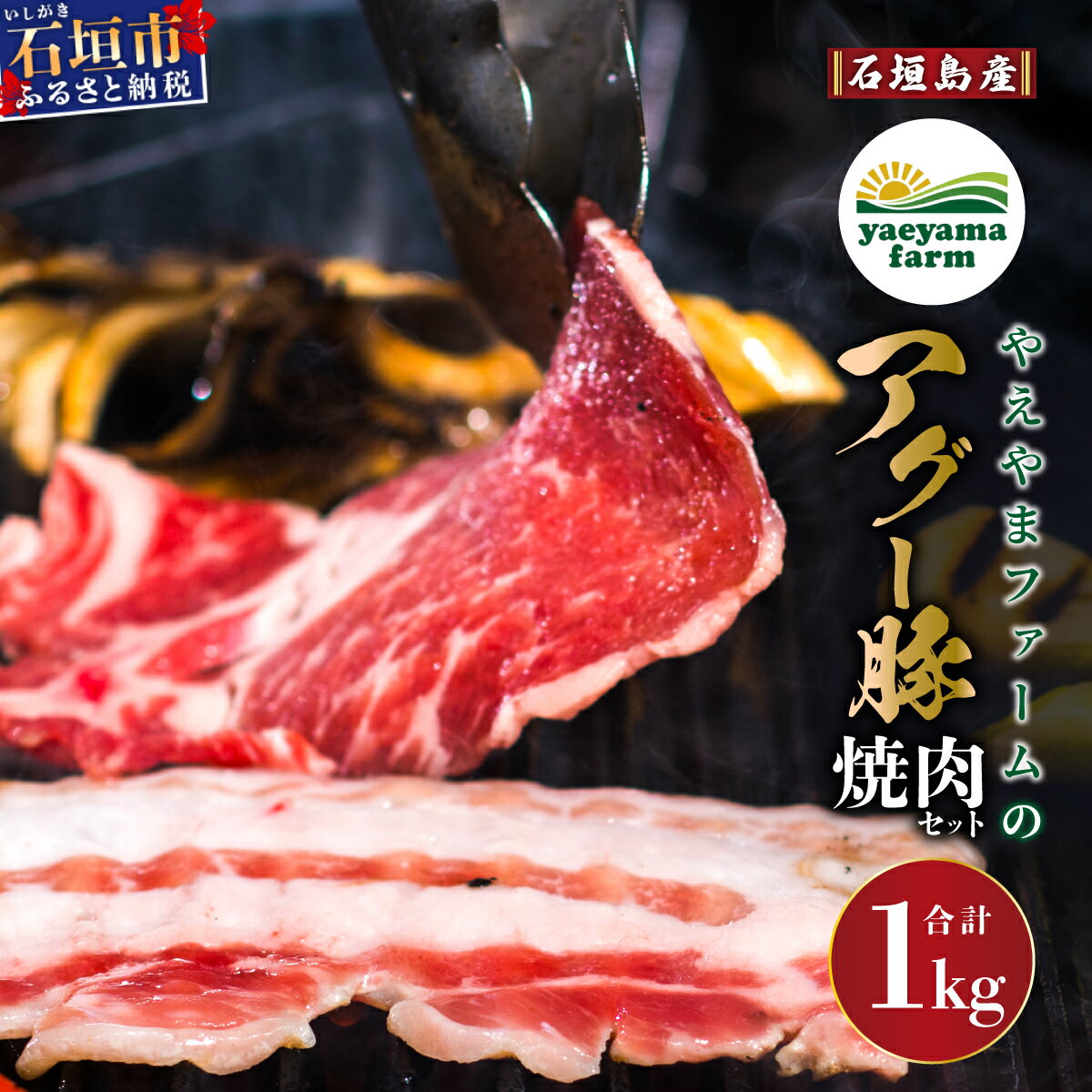 【ふるさと納税】石垣島産 やえやまファームのアグー豚 焼肉セット 計1kg（ロース500g＋バラ500g） 冷凍 国産豚 豚肉 沖縄県石垣市 南ぬ豚(パイヌブタ) 肉 家庭用 BBQ 送料無料 E-24