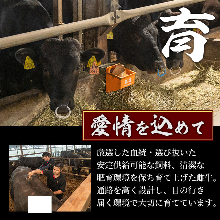 s593 ＜先行予約受付中！2025年1月中旬より順次発送予定＞鹿児島県産 北さつま高崎牛 すき焼き用 (計約800g・ ロース 約200g×2 / 赤身 約200g×2 )黒毛和牛 A5ランク A5