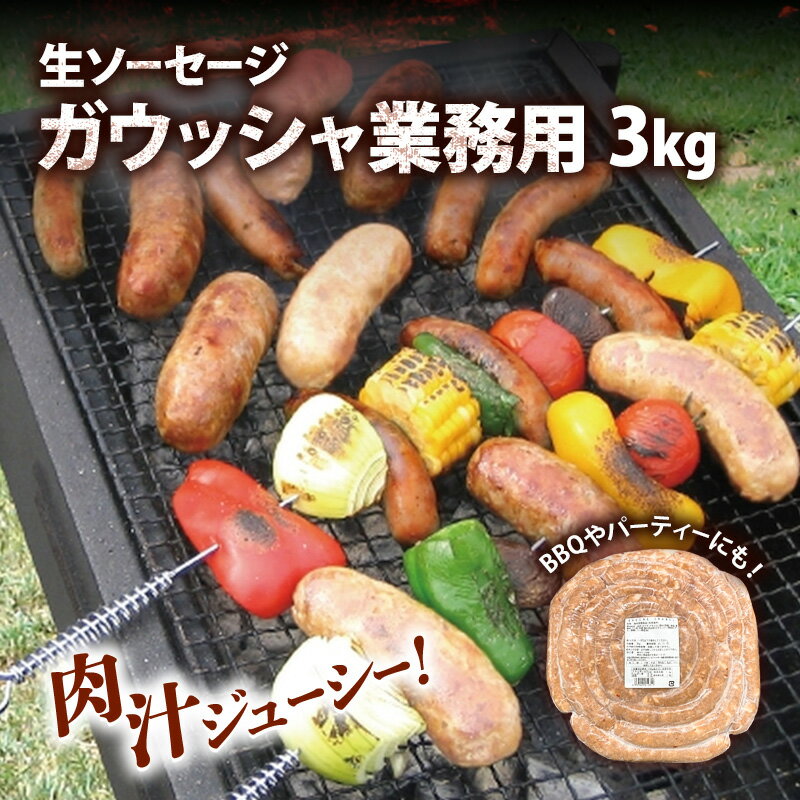 【ふるさと納税】リングイッサ ガウッシャ業務用 3kg 肉本来の旨味 豚肉生ソーセージ ボリューミー イベント BBQ ブラジル式生ソーセージ 生ソーセージ
