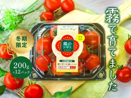 11月末～12月発送予約【霧のトマト】 霧で育てたおいしさ抜群の味！ ミニトマト200ｇ×12パック　18-14