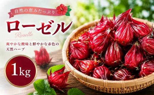 【先行予約 9月下旬発送開始！】 ローゼル 1kg フレッシュローゼル 生ローゼル ローゼル ハイビスカス ローゼル フレッシュ ハーブ 国産 ハーブ ローゼル ジャム 手作りジャム シロップ 塩漬け 料理 お菓子 材料 季節限定 旬 新鮮 産地直送 農家直送 栽培 手作り ドリンク お茶 紅茶 ハイビスカス ハーブティー ビタミン ミネラル クエン酸 美容 美肌 健康 ヘルシー 高知県 安芸市