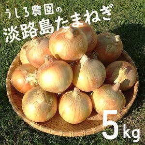 玉ねぎ 淡路島産 5kg 中生 うしろ農園 玉ねぎ