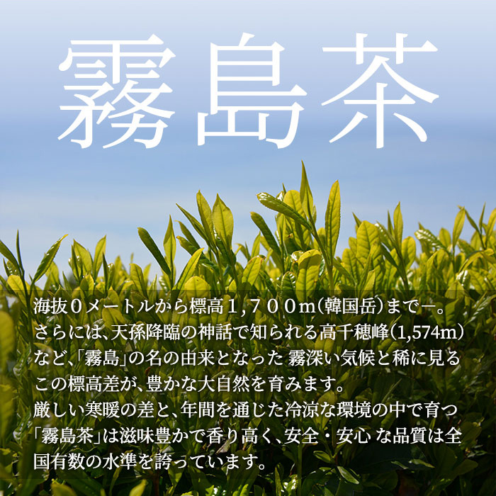 A-129 《きりしま茶》500ml×24本(ペットボトル)滋味豊かで香り高く、安全・安心な品質は全国有数の水準を誇る霧島茶【JA】