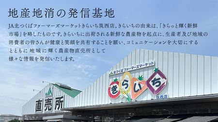 【 JA北つくば 】 ローズポーク ロース切身 600g ( 100g × 6枚入り ) ブランド豚 銘柄豚 豚肉 豚 肉 お肉 にく 厚切り とんかつ ポークソテー トンテキ 焼肉 バーベキュー ギ