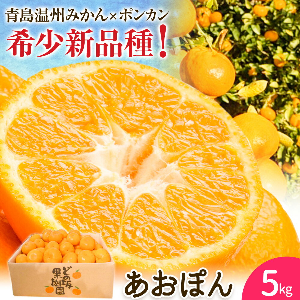 【ふるさと納税】あおぽん ( 青島温州みかん × ポンカン ) みかん ポンカン 約 5kg どの坂果樹園《2027年1月下旬-2月中旬頃出荷》 和歌山県 日高川町 ぽんかん 旬 果物 フルーツ 柑橘 新品種 希少品種