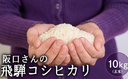 ＜8月から寄附額改定＞特別栽培米 令和7年産 飛騨産 玄米 コシヒカリ 10kg 単品 米 特A こしひかり 阪口農園 新米 米 こめ コメ ごはん 10キロ 飛騨市 32000円