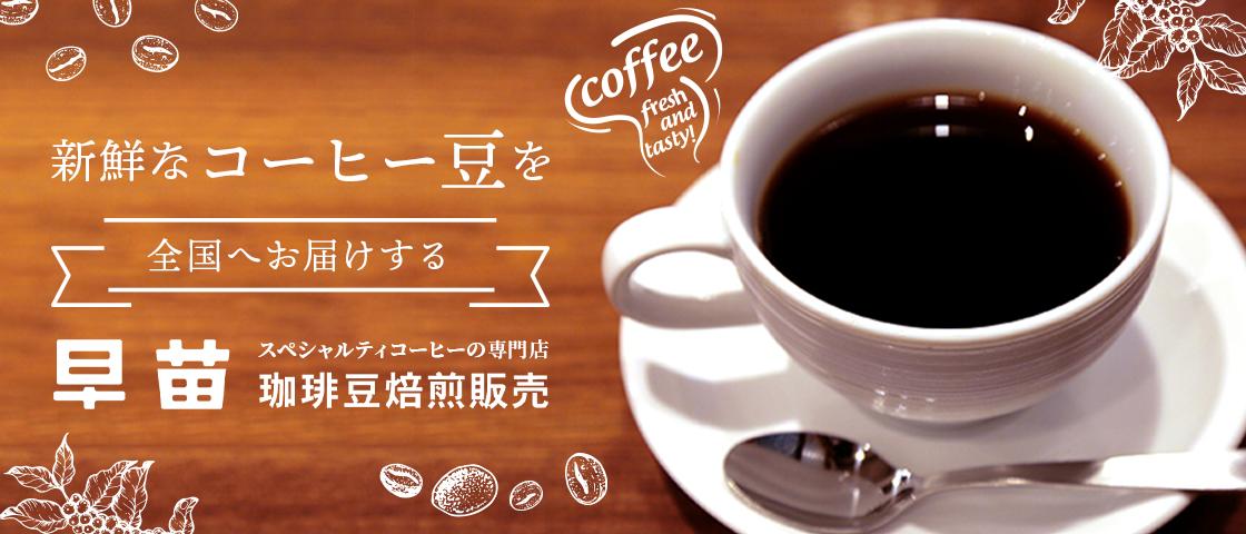 【早苗】焙煎珈琲豆（お試しスペシャルティコーヒーパック100g）粉