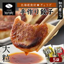 【ふるさと納税】餃子 北海道の食材たっぷり！手作り餃子5袋セット スリーエス知内町 ふるさと納税 北海道グルメ