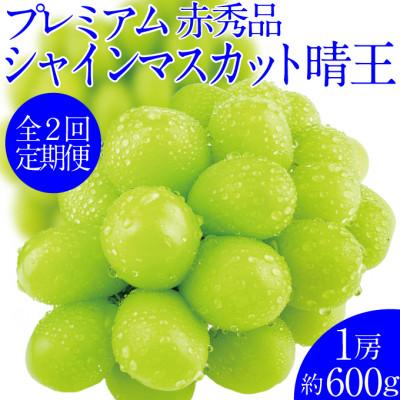 ふるさと納税 岡山市 【発送月固定定期便】2026年9月より発送 プレミアムシャインマスカット晴王 1房 約600g全2回