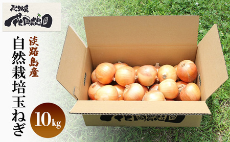 淡路島産 栽培期間中 無肥料・無農薬・自然栽培玉ねぎ 10kg 兵庫県 洲本市 淡路島