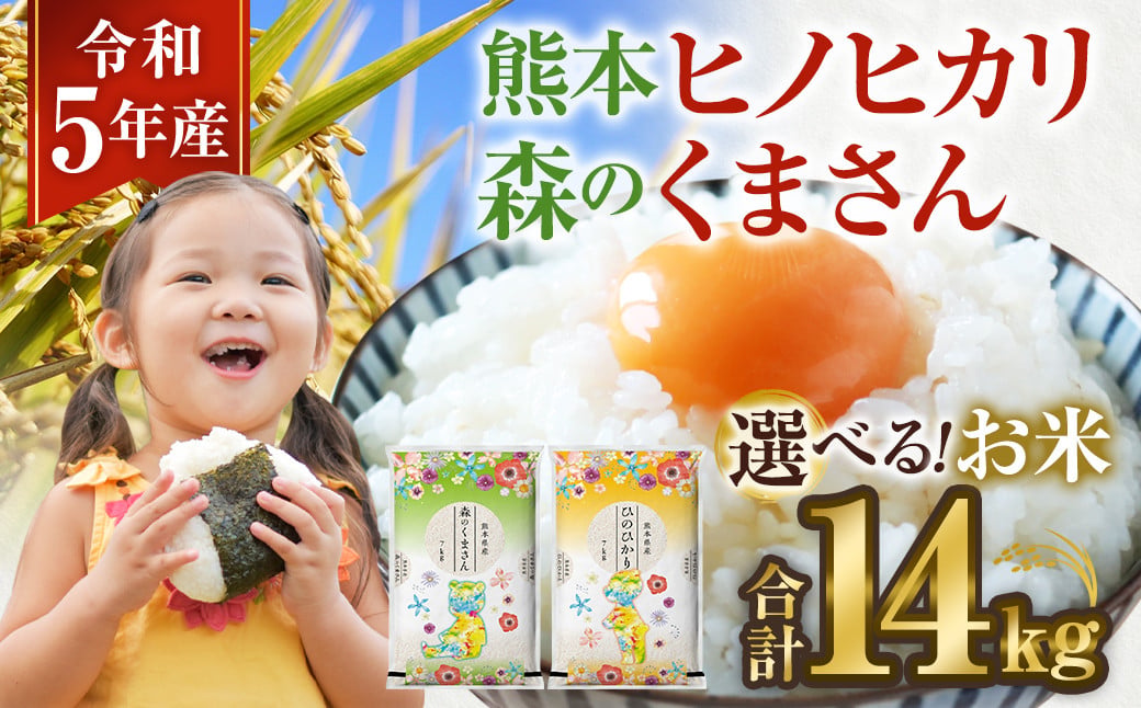 【令和5年産 ヒノヒカリ 7kg × 森のくまさん 7kg】計14kg 新鮮 精米 熊本県産