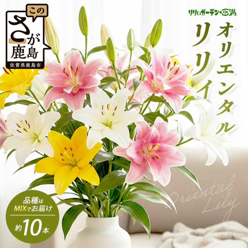 【ふるさと納税】高評価 オリエンタルリリィ(約10本)【生産者直送】幸せと笑顔を届けるオリエンタルリリィ ユリ 百合 花 切り花 フラワー 艶やか 美しい 華やか 可憐 鮮やか 長持ち 強い 有機肥料 人気 ラッピング プレゼント 贈り物 贈答 佐賀県 鹿島市 送料無料 B-313