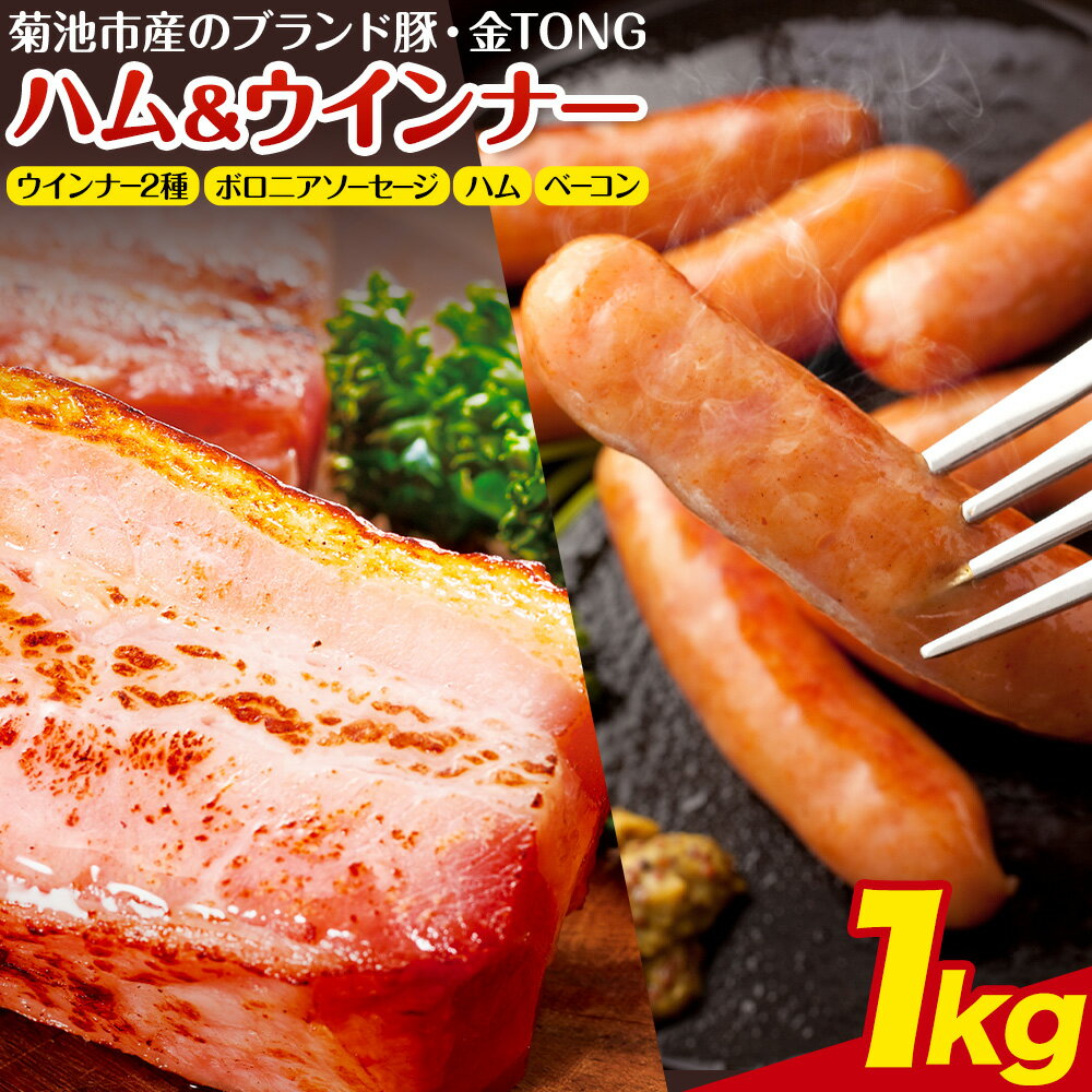 【ふるさと納税】ハム工房TONGTONG ハム・ウインナーギフトセット 合計1010g 5種類 約1kg 食べ比べ 豚肉 セット ベーコン ハム ウインナー ソーセージ 金TONG 九州産 国産 熊本県産 冷凍 ギフト 贈りもの 送料無料《90日以内に出荷予定(土日祝除く)》