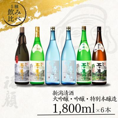 ふるさと納税 三条市 大吟醸・吟醸・特別本醸造飲み比べセット(1,800ml×6本) [福顔酒造]【096P002】