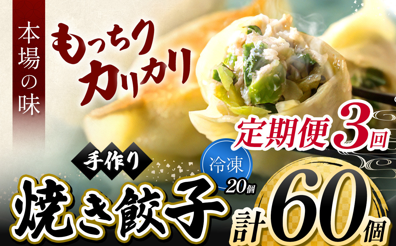
            3回 定期便 地元野菜 ・ 国産素材 を使用  ニンニク不使用 手作り焼き餃子 ( 冷凍 ) 20個 【 手作り餃子の店 吉春 】 | 料理 食品 ぎょうざ ギョーザ 餃子 水餃子 冷凍餃子 人気 にんにく不使用 にんにくなし ニンニク不使用 食べ切り お惣菜 定番 もちもち カリカリ お取り寄せ 豚肉 豚 小麦 北海道小麦 キャベツ にら しょうが 国産 グルメ 本場 麺点師 国領 調布 東京
          