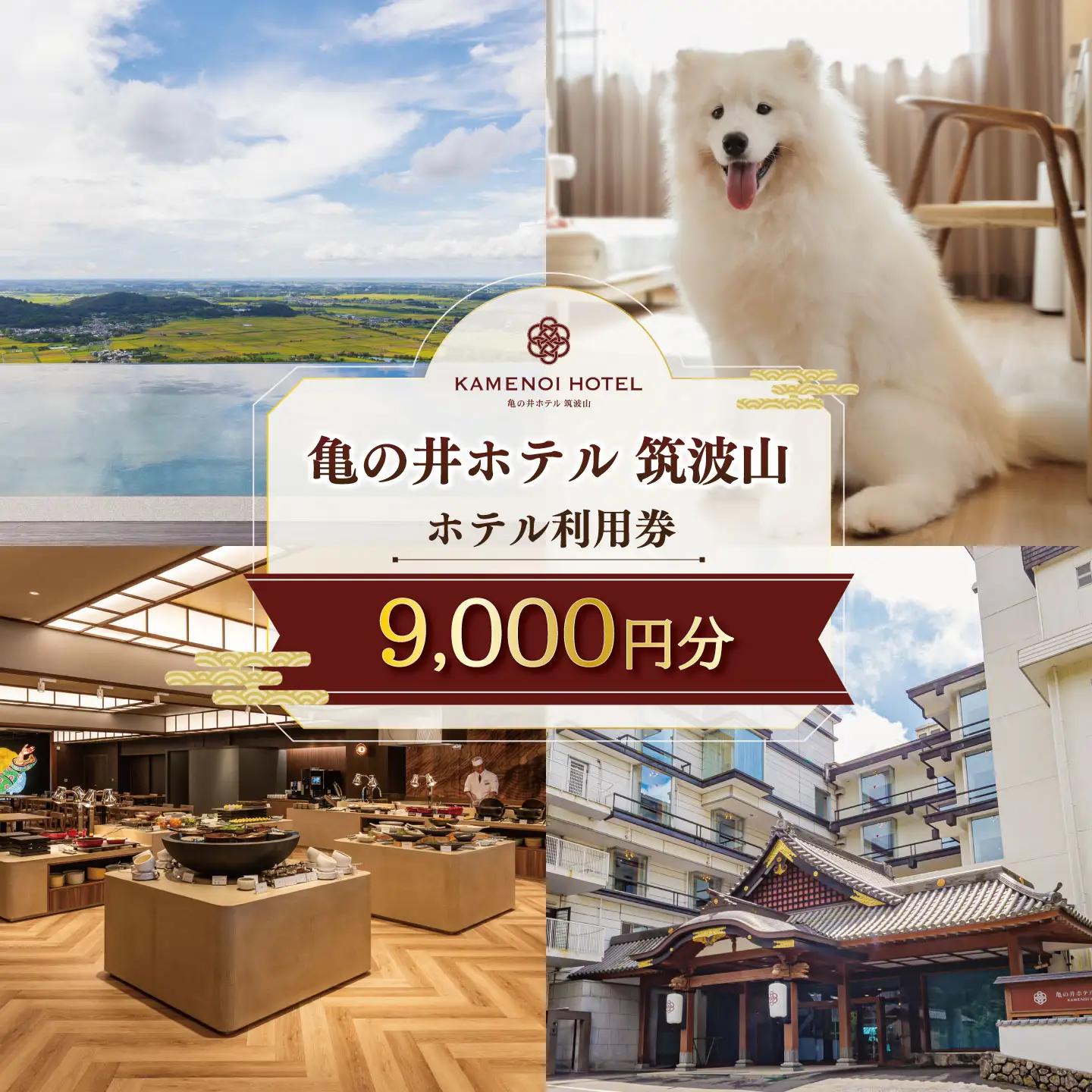 亀の井ホテル 筑波山 ホテル利用券 9,000円 宿泊券 宿泊