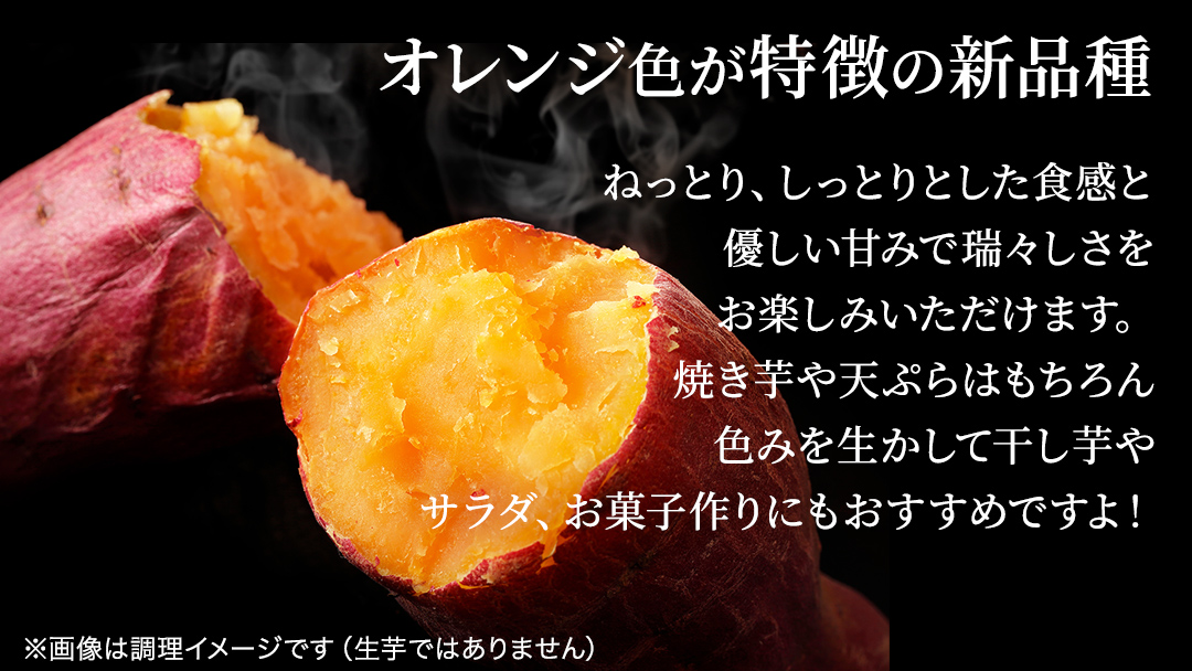 さつまいも 【 ほしあかね 】 5kg（ 箱込 ）サツマイモ さつま芋 芋 いも 野菜 焼き芋 スイーツ おやつ 国産