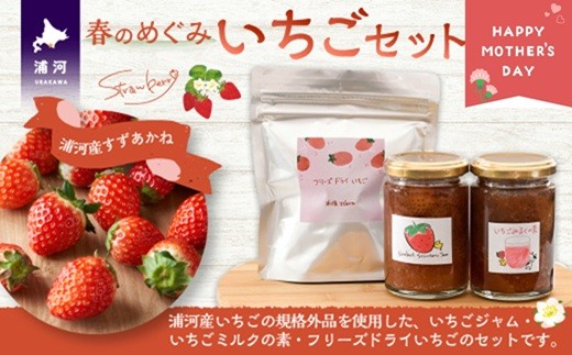 【母の日対応】食品ロスの削減をした「いちごジャム」と「いちごみるくの素」、「フリーズドライいちご」のセットです。