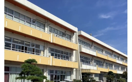 【笠間市立の小・中学校を支援】宍戸小学校 米 精米 白米 コシヒカリ こしひかり 真空 パック お米 お弁当 おにぎり 国産 茨城県 笠間市 いばらき