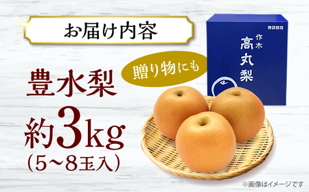 【先行予約】【9月中旬から9月末に順次発送】高丸の梨 「豊水」 3kg（5から8玉入） 豊水 梨 なし フルーツ 果物 ナシ 三次市/高丸農園[APBU001]