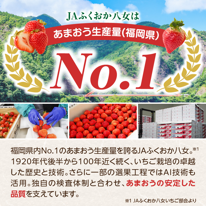【先行受付：2026年2月発送開始】博多あまおうＧ270g×10パック｜ＪＡふくおか八女 あまおう いちご 苺 イチゴ フルーツ 果物 くだもの 人気  旬 福岡県産 大粒 アフター補償 数量限定 期