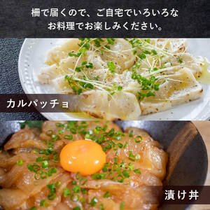 【 刺身 】 刺身定期便 12ヶ月