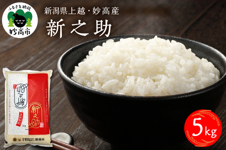 【2026年6月中旬発送】令和7年産 新潟県上越妙高産新之助5kg※沖縄県・離島配送不可