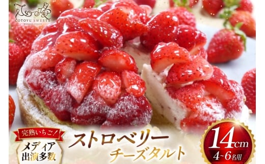 【期間限定】 いちご タルト ストロベリー チーズタルト 1ホール 14cm [心優-Cotoyu Sweets- 長崎県 平戸市 hr42bjo490171] 苺 イチゴ ケーキ スイーツ ご褒美 誕生日