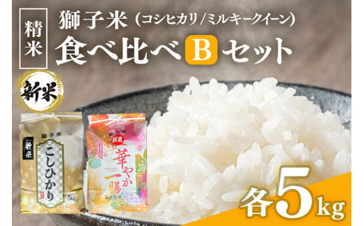 【令和6年産】獅子米 食べ比べ Bセット 精米 10kg ( コシヒカリ5㎏ ミルキークイーン5㎏ )  2種類 家庭用 贈答用 お取り寄せ ギフト お米 米 おこめ 茨城県 石岡市(B02-028)