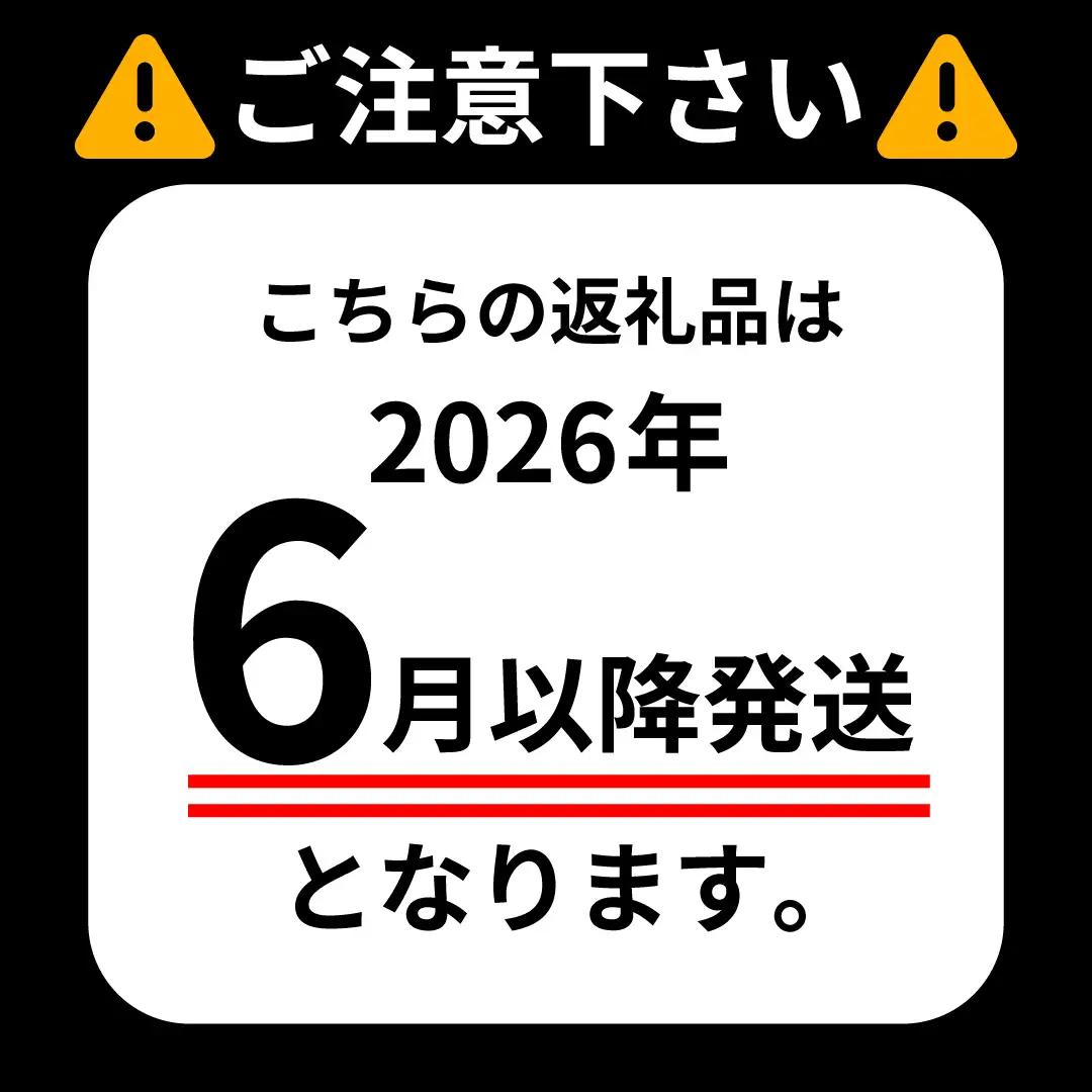 【掃除機】 ダイソン リファービッシュ品 (SV46 ABL)